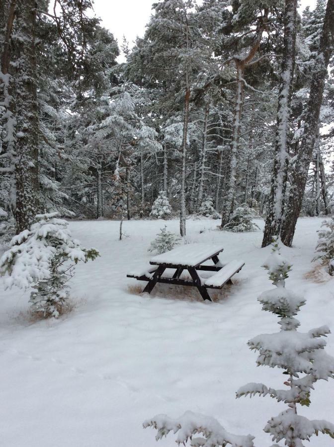 Le Cytise Holiday home Caille